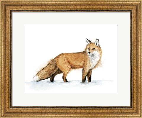 Framed Snow Fox I Print
