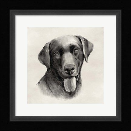 Framed Charcoal Labrador I Print