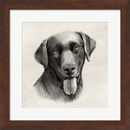 Framed Charcoal Labrador I Print