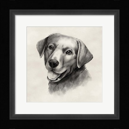 Framed Charcoal Labrador II Print