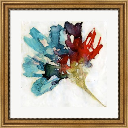 Framed Splashed Flower II Print
