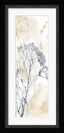 Framed Wildflower Line Contour II Print