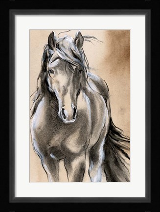 Framed Sketched Horse II Print