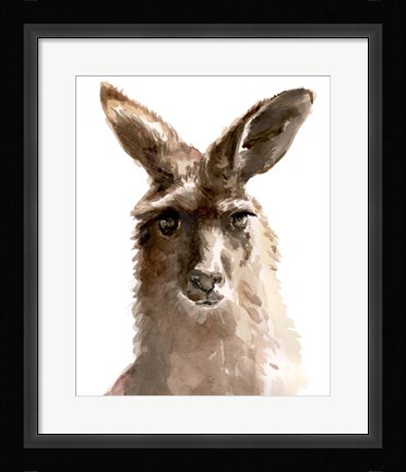 Framed Kangaroo Portrait II Print