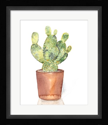 Framed Sharp Succulents IV Print