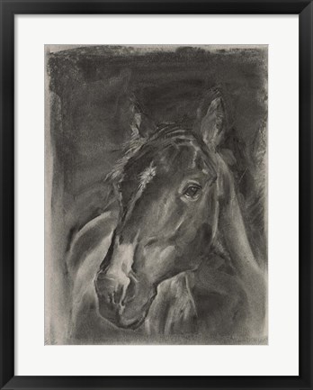 Framed Charcoal Horse Study on Grey II Print