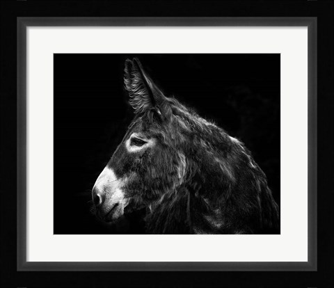 Framed Donkey Portrait I Print