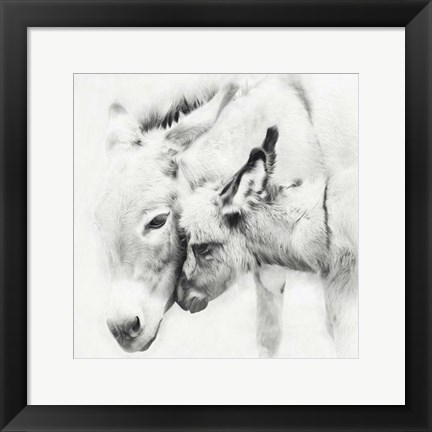 Framed Donkey Portrait III Print