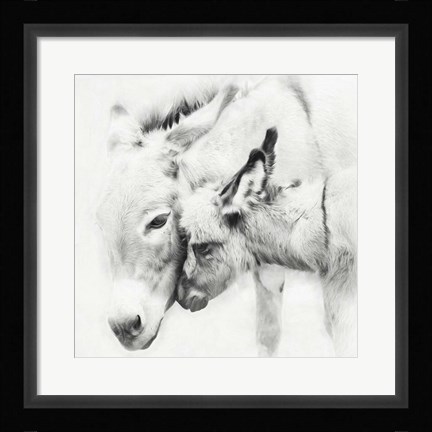 Framed Donkey Portrait III Print