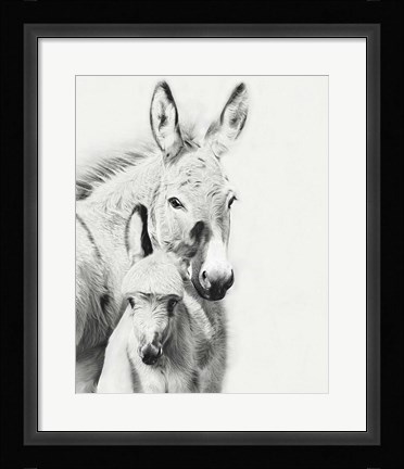 Framed Donkey Portrait V Print