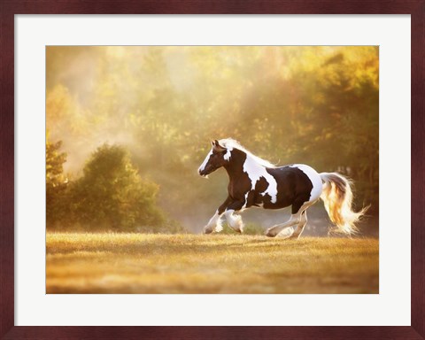 Framed Golden Lit Horse II Print