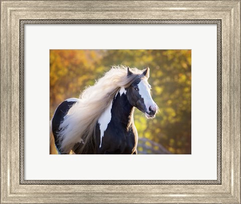 Framed Golden Lit Horse III Print