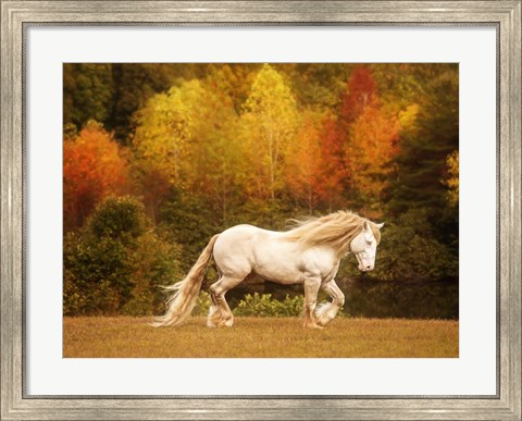 Framed Golden Lit Horse VI Print
