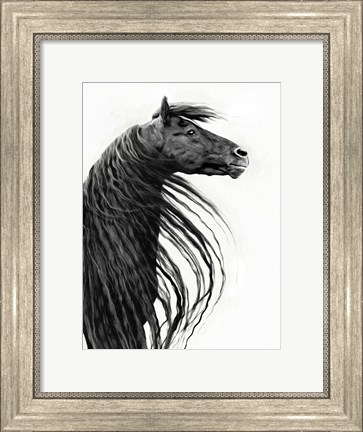 Framed Black and White Horse Portrait II Print