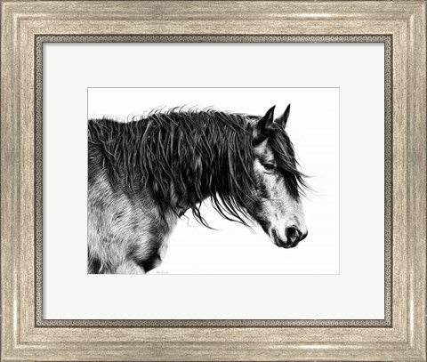 Framed Black and White Horse Portrait III Print