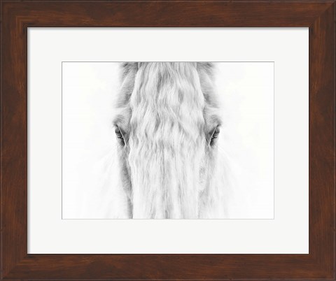 Framed Black and White Horse Portrait IV Print