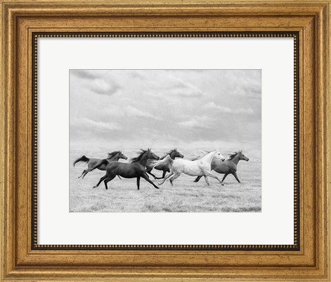 Framed Horse Run I Print