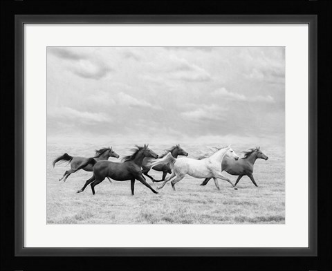 Framed Horse Run I Print