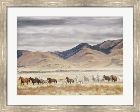 Framed Horse Run II Print