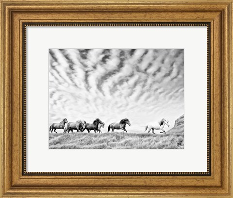 Framed Horse Run III Print