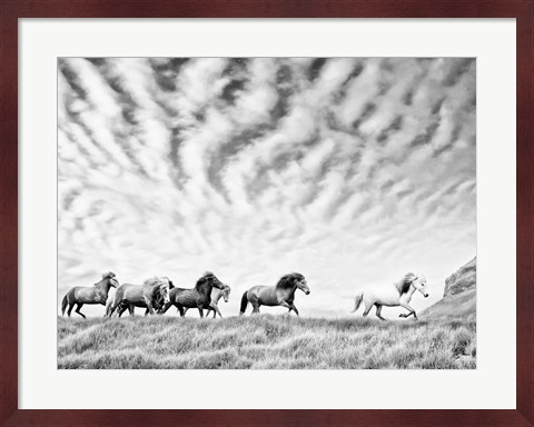 Framed Horse Run III Print