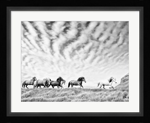 Framed Horse Run III Print
