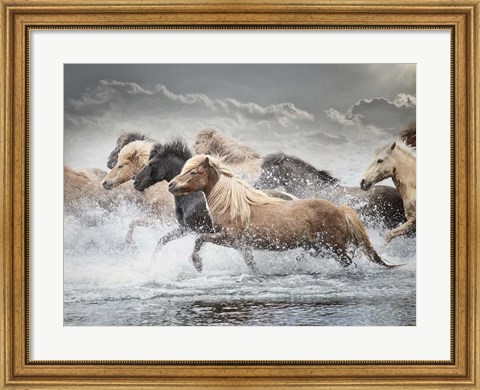 Framed Horse Run IV Print