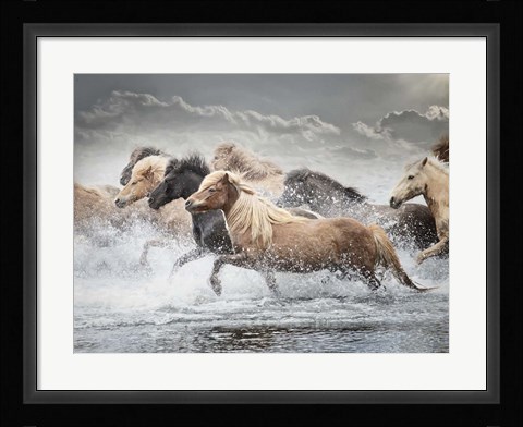 Framed Horse Run IV Print
