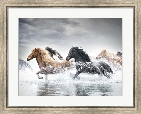 Framed Horse Run V Print