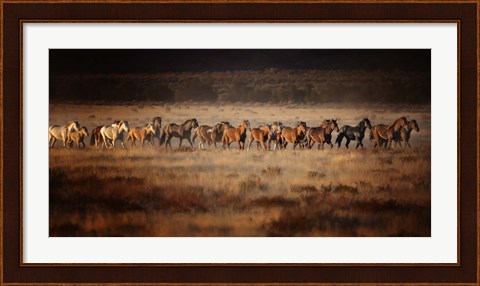 Framed Horse Run VII Print