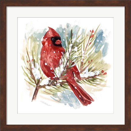 Framed Cardinal I Print