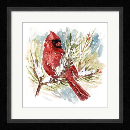Framed Cardinal I Print