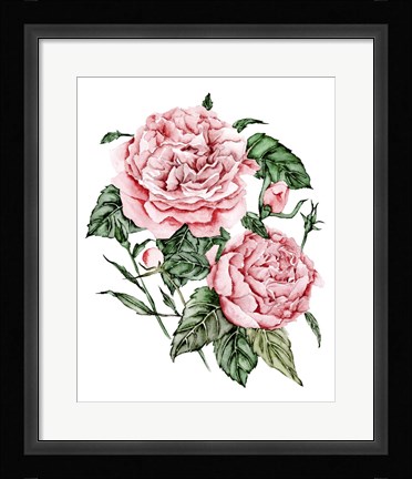 Framed Roses are Red I Print