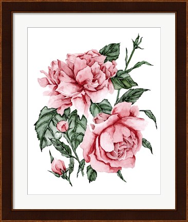 Framed Roses are Red II Print