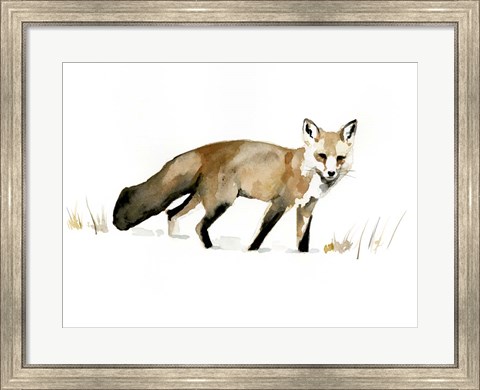 Framed Winter Fox I Print