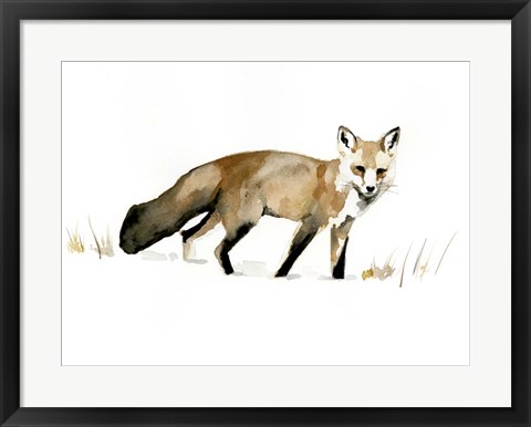 Framed Winter Fox I Print
