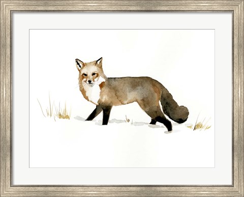 Framed Winter Fox II Print