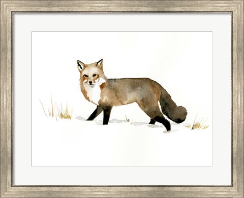 Framed Winter Fox II Print