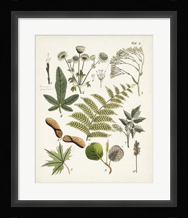 Framed Fanciful Ferns VI Print