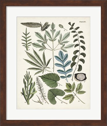 Framed Fanciful Ferns VII Print