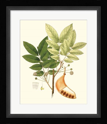 Framed Spring Green Foliage IX Print