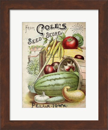 Framed Antique Seed Packets VI Print