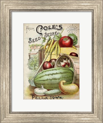 Framed Antique Seed Packets VI Print