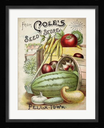 Framed Antique Seed Packets VI Print