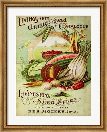 Framed Antique Seed Packets VII Print