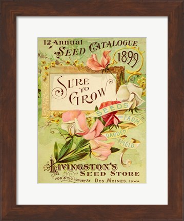 Framed Antique Seed Packets VIII Print
