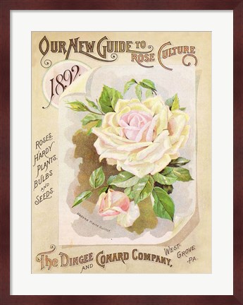 Framed Antique Seed Packets IX Print