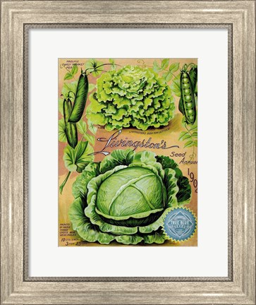Framed Antique Seed Packets XII Print