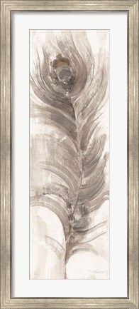 Framed Neutral Eyed Feathers II Print