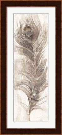 Framed Neutral Eyed Feathers II Print